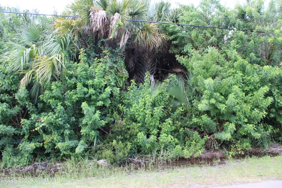 3138 Framingham Avenue Sw, Palm Bay, FL 32908 - #3