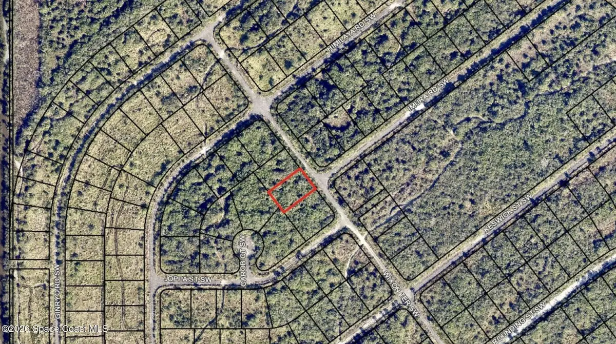 2736 Wixon Terrace Sw, Palm Bay, FL 32908 - #1