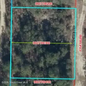 0000 NE 67th Street, Bronson, FL 32621
