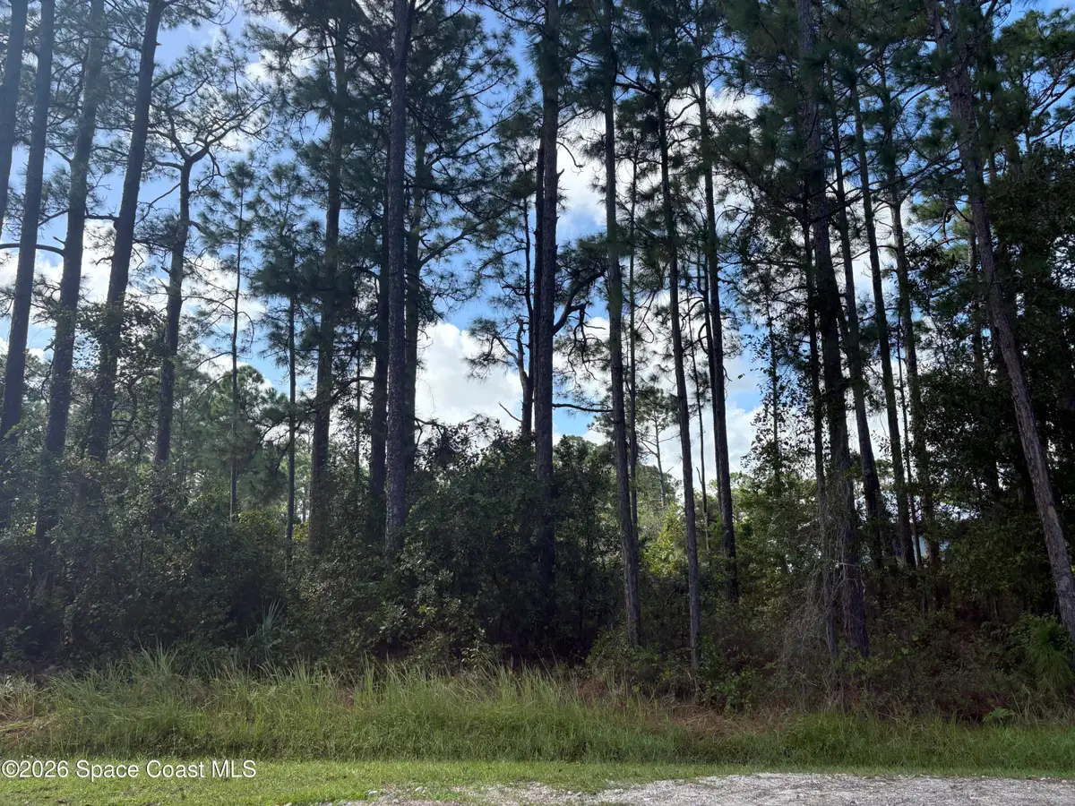 0000 Lett Lane, Malabar, FL 32950 - #1