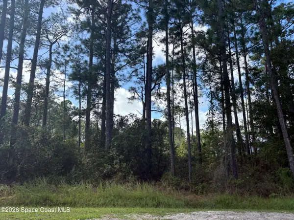 0000 Lett Lane, Malabar, FL 32950