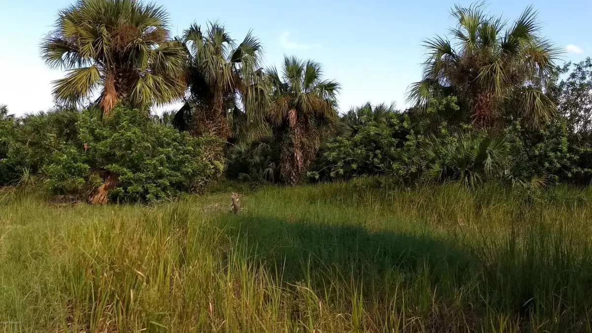 1991 Conkling Avenue Sw, Palm Bay, FL 32908 - Image #1