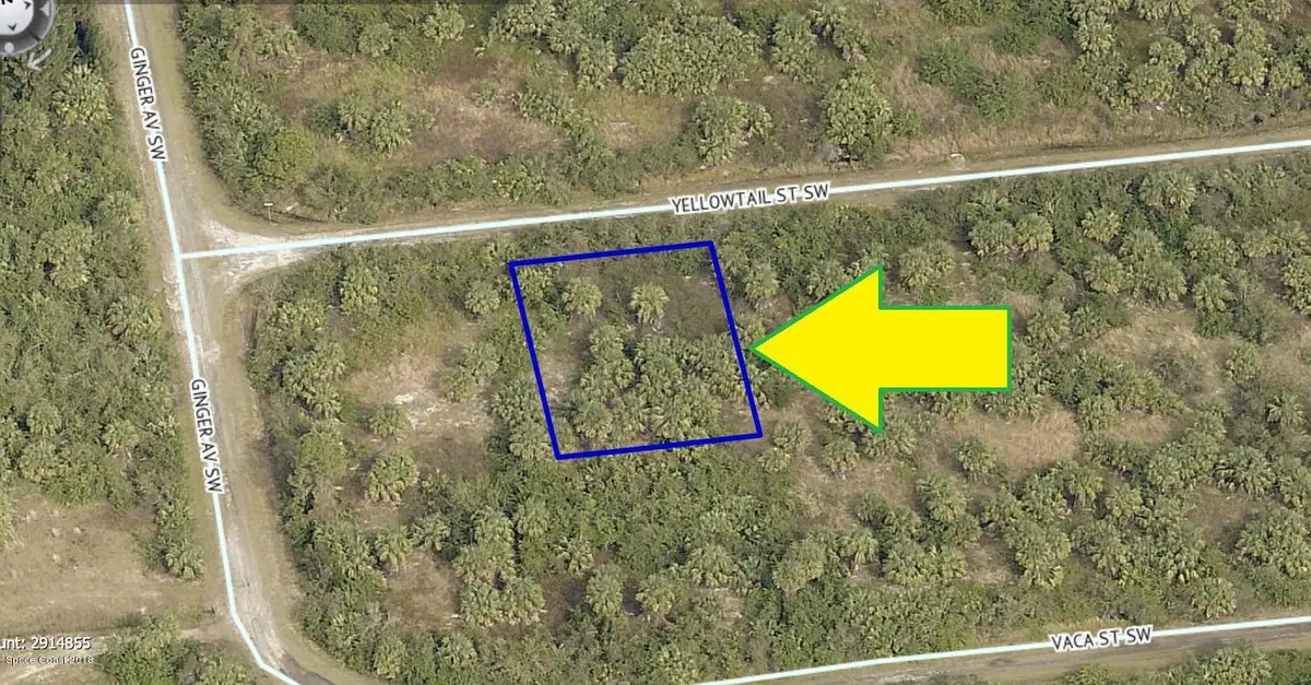 880 Yellowtail Street Sw, Palm Bay, FL 32908 - #1