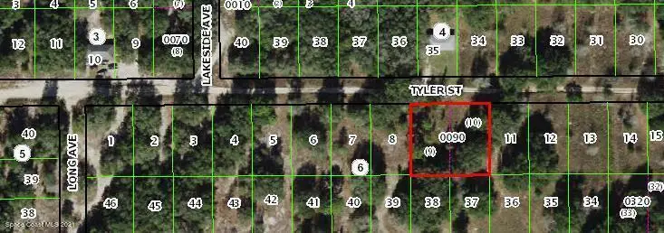 2503 Tyler Street, Inverness, FL 34452 - Image #2