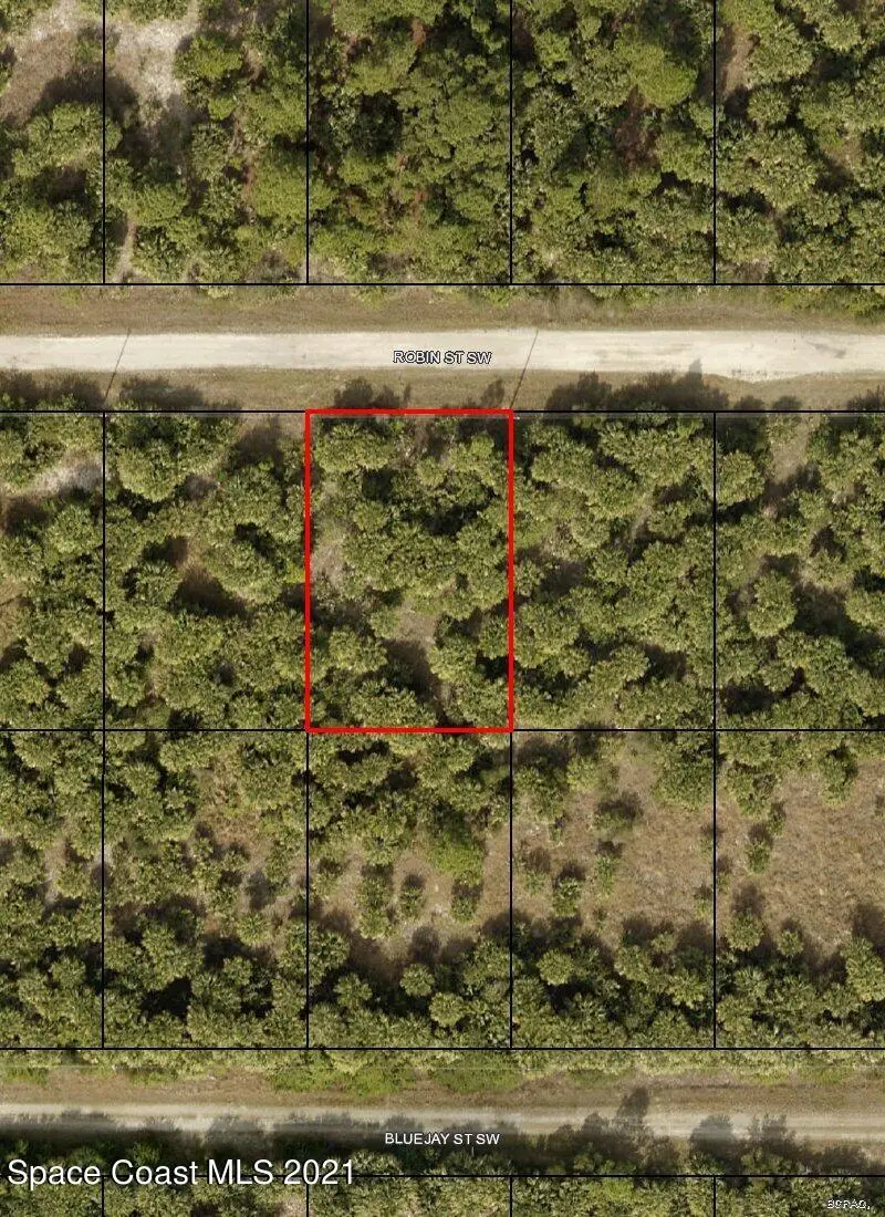 846 Robin Street Sw, Palm Bay, FL 32908 - #1
