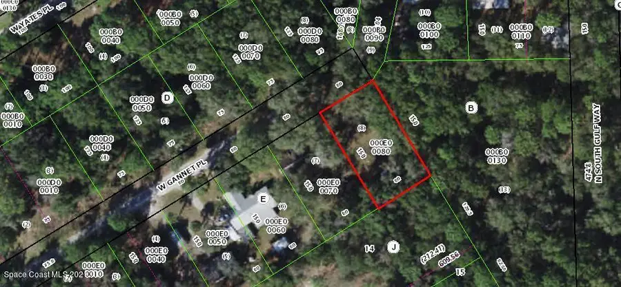 6572 W Gannet Place, Crystal River, FL  - Image #2