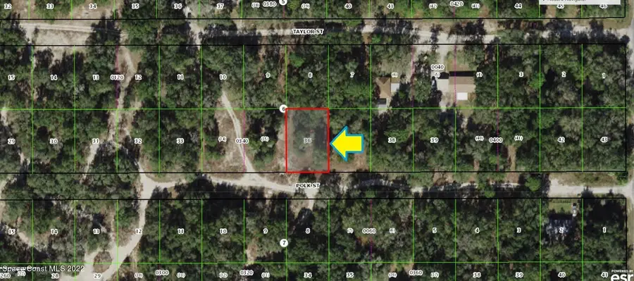 2814 Polk Street W, Inverness, FL  - Image #2