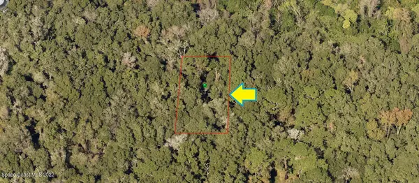 2110 Mistletoe Street, Inverness, FL 