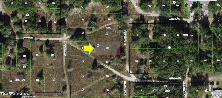 1103 Hillcrest Avenue, Inverness, FL  - Image #2