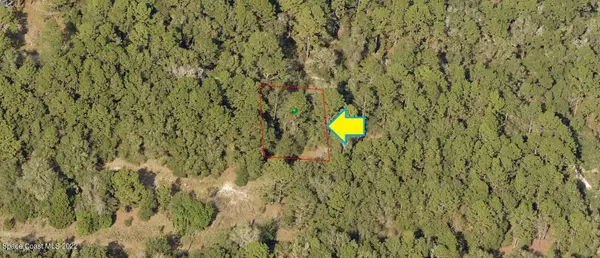 1909 Milton Street, Inverness, FL 