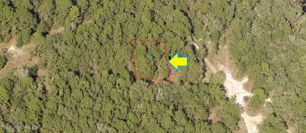 1902 Falkner Street, Inverness, FL 