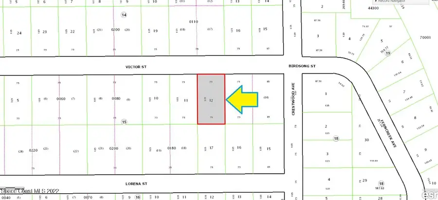 1905 Victor Street, Inverness, FL  - Image #3