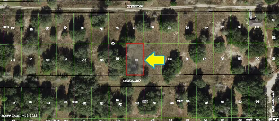 2218 Jefferson Street, Inverness, FL  - Image #2