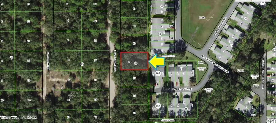 704 Pinewood Avenue, Inverness, FL  - Image #2