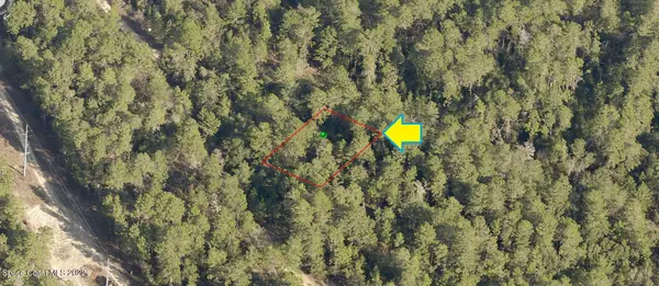 2525 Hugo Street, Inverness, FL 34452