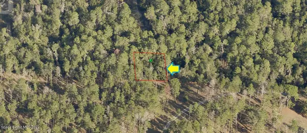 2811 Kerry Street, Inverness, FL 34452