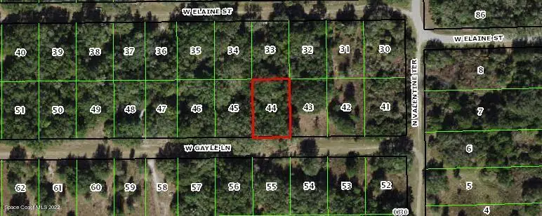 8157 W Gayle Lane, Crystal River, FL  - Image #1