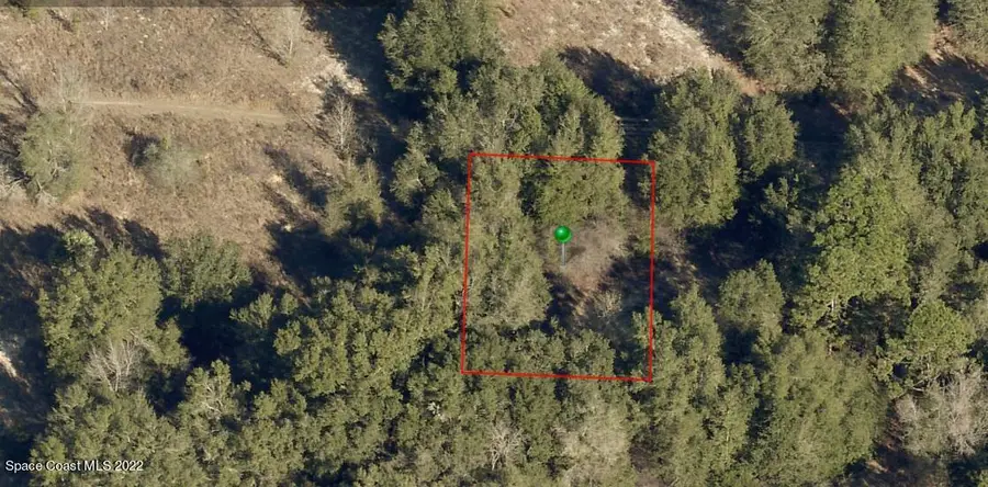 2405 Reagan Street, Inverness, FL  - Image #2