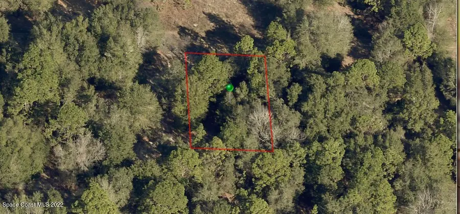 2311 Reagan Street, Inverness, FL  - Image #2