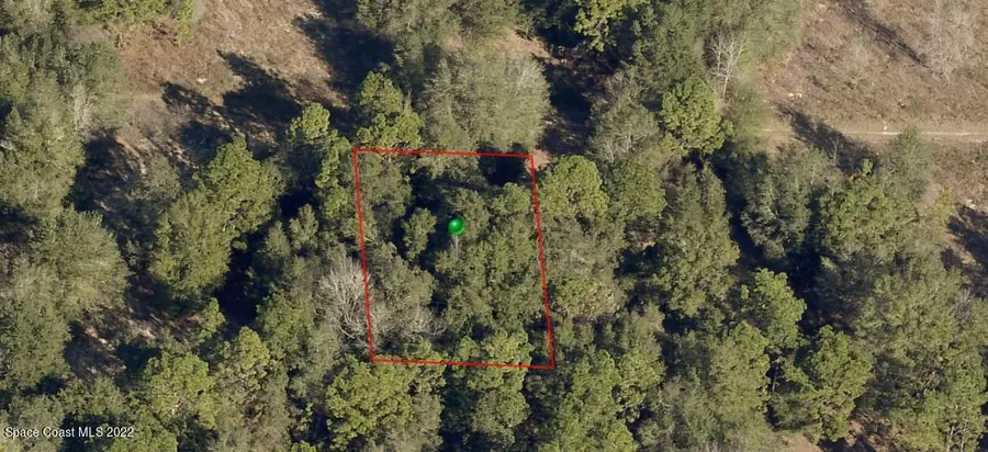 2309 Reagan Street, Inverness, FL  - Image #2