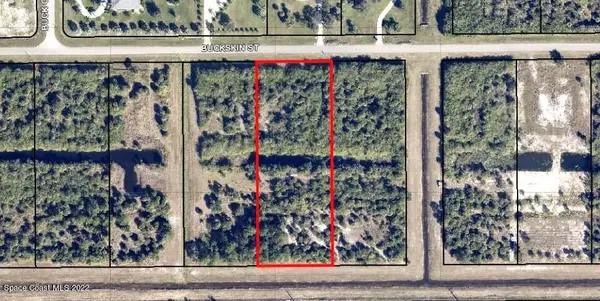 321 Buckskin Street, Palm Bay, FL 32909