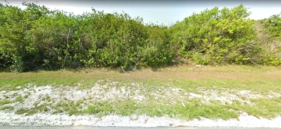 321 Buckskin Street, Palm Bay, FL 32909 - #3