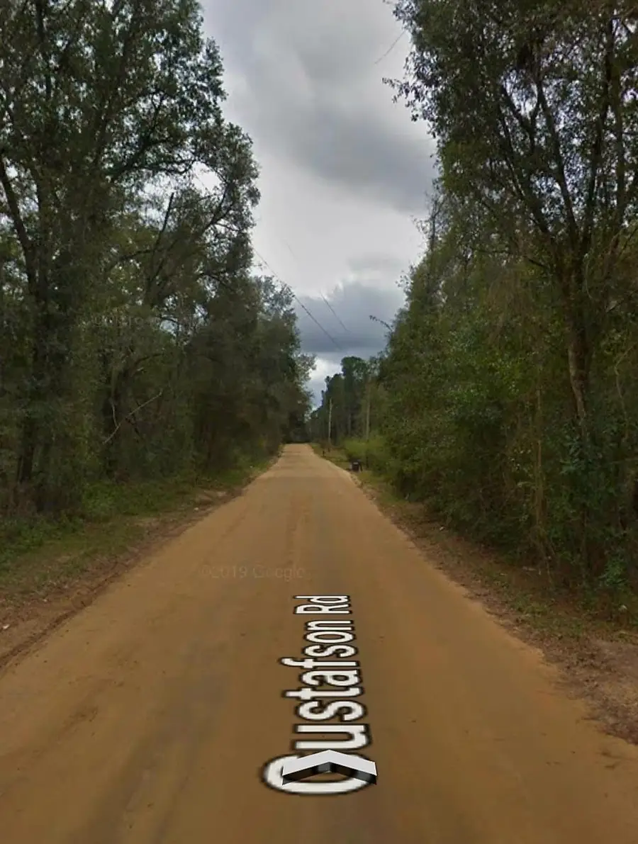 Lot 33 Gustafson Road #1, Other Florida, FL 32656 - #2