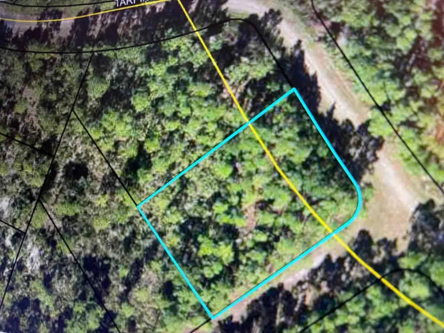 XX Warbird Circle, Panacea, FL 32346 - #3