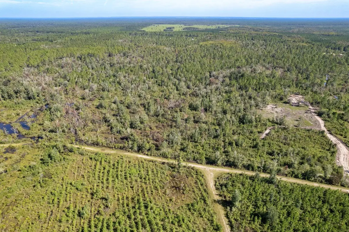 Lot 14 Rock Crusher Road, Crawfordville, FL 32327 - #1
