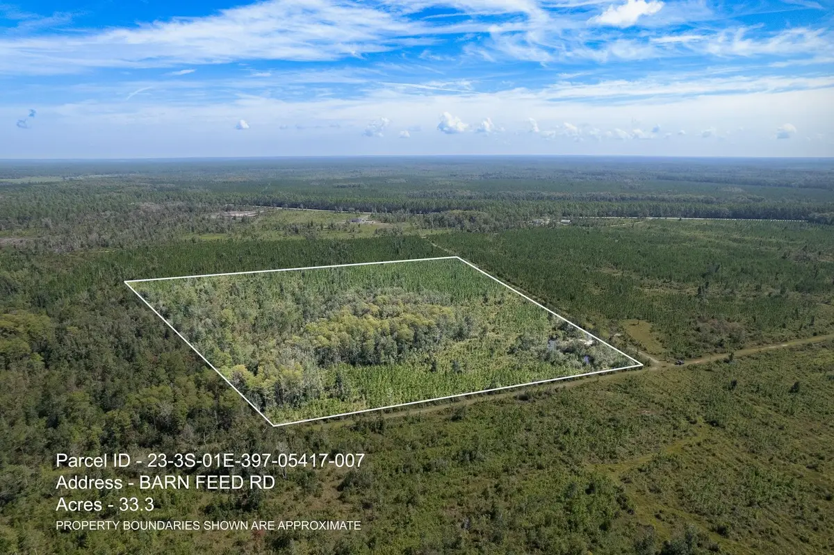 Lot 7 Barn Feed Road, Crawfordville, FL 32327 - #1