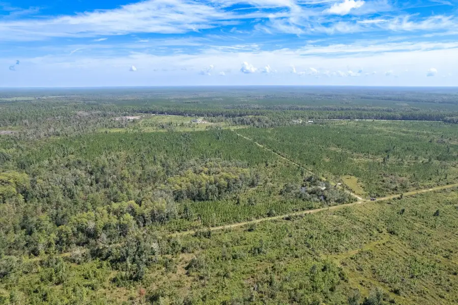 Lot 7 Barn Feed Road, Crawfordville, FL 32327 - #2