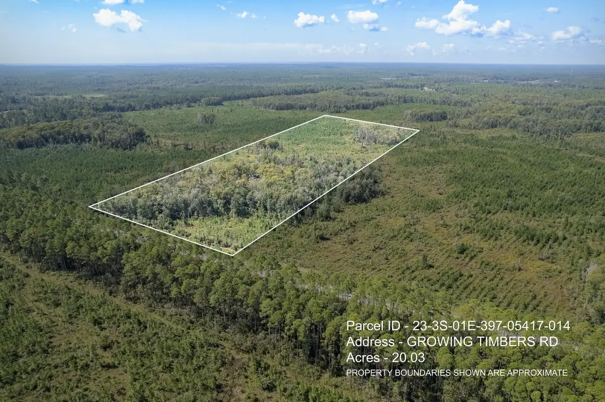 Lot 14 Growing Timbers Road, Crawfordville, FL 32327 - #1