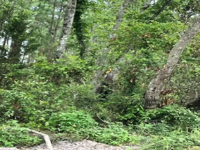 Lot 8 Surf Road, Ochlockonee Bay, FL 32346 - Image #3