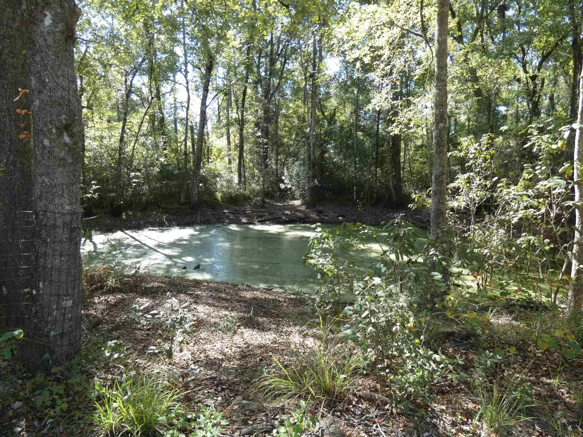 TBD Namon Spears Road, Crawfordville, FL 32327 - #1