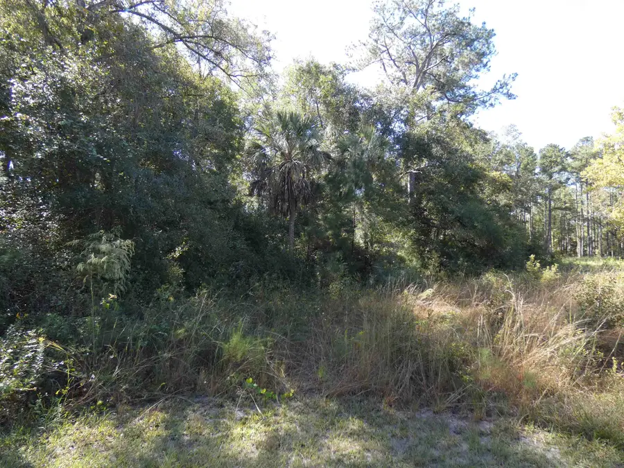 TBD Namon Spears Road, Crawfordville, FL 32327 - #3