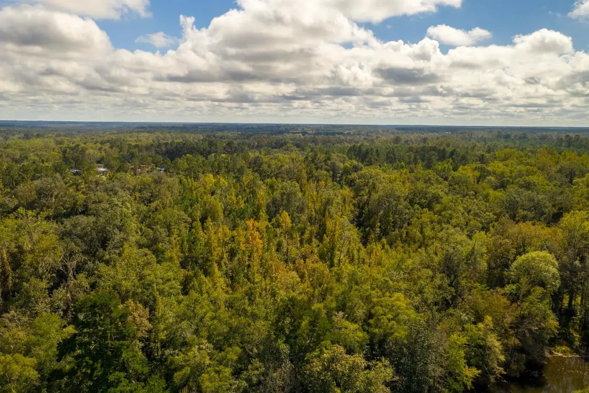 XXXX Strong Road, Quincy, FL 32351 - Image #1