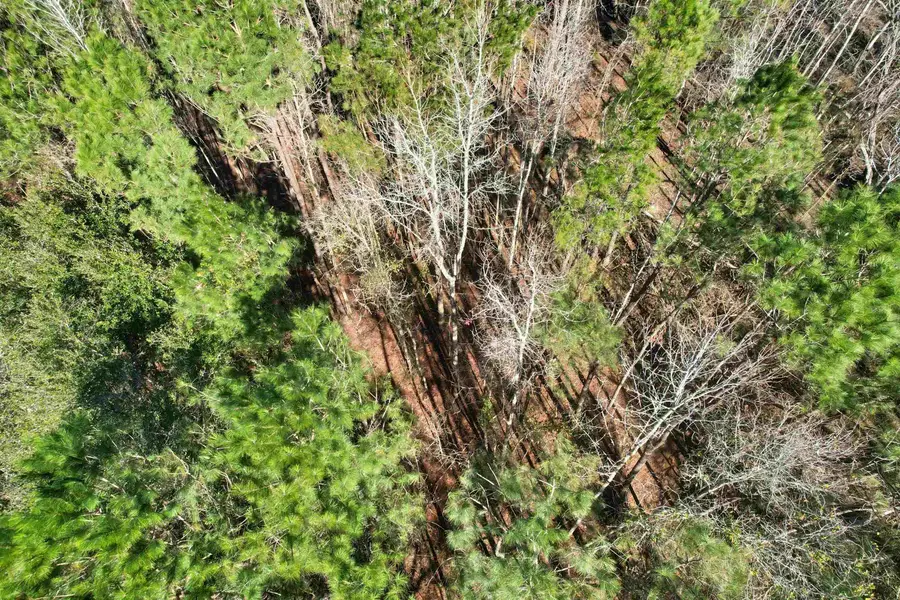 2894 SW Overstreet Avenue, Greenville, FL 32331 - Image #2