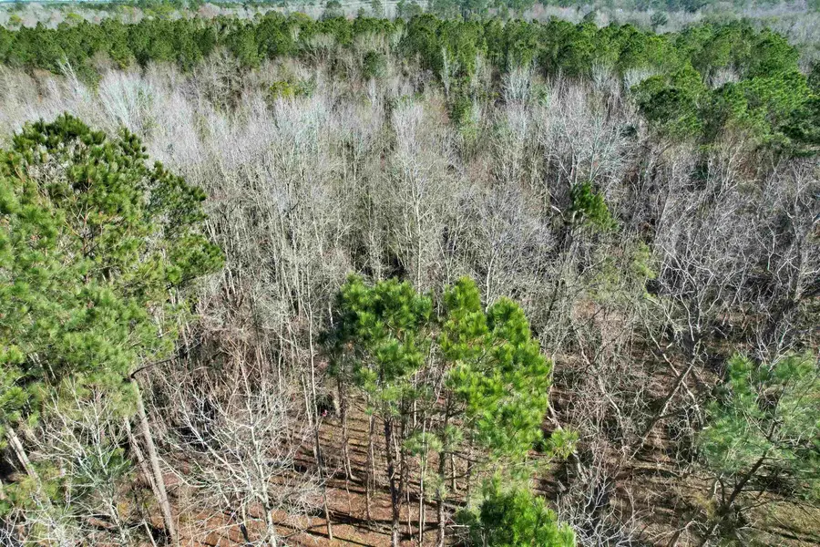 2894 SW Overstreet Avenue, Greenville, FL 32331 - Image #3