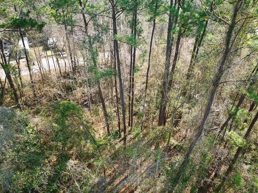 398 SW Obadiah Street, Greenville, FL 32331 - Image #2