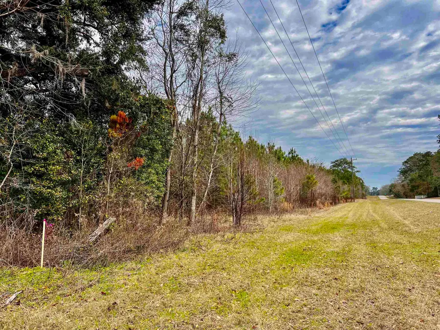 XOX Lot 5 Solomon Dairy Road, Quincy, FL 32351 - #2