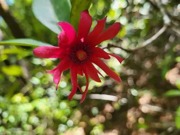 800 Florida Line Rd Road, Quincy, FL 32351