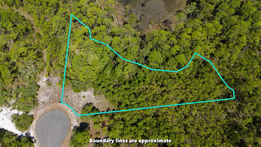LOT 24 Leap Frog Lane, Panacea, FL 32346 - Image #2