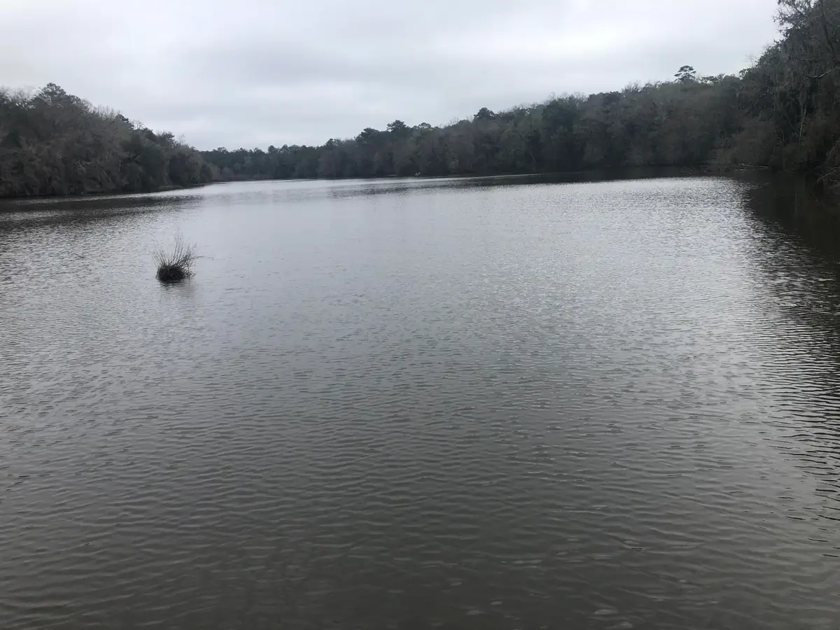 18055 Rakestraw, Tallahassee, FL 32310 - Image #1