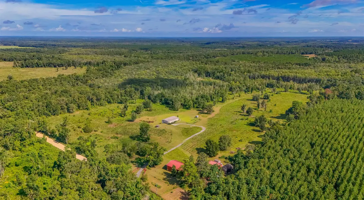 1616 NW Flowers Road, Madison, FL 32340 - Image #1