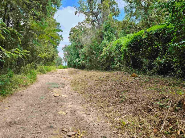 2023 Dennis Street, Tallahassee, FL 32308