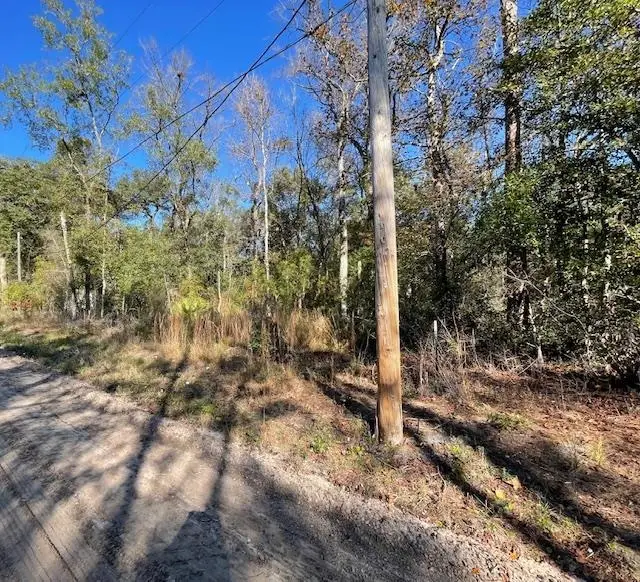 Choctaw Road, Crawfordville, FL 32327 - #2