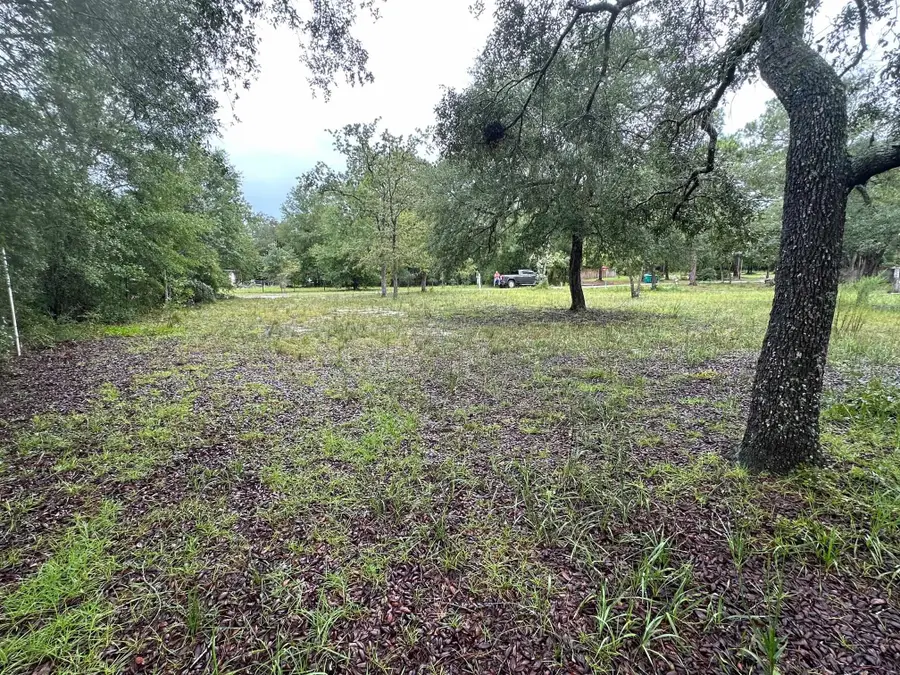 xxx Monticello Avenue, Panacea, FL 32346 - Image #3