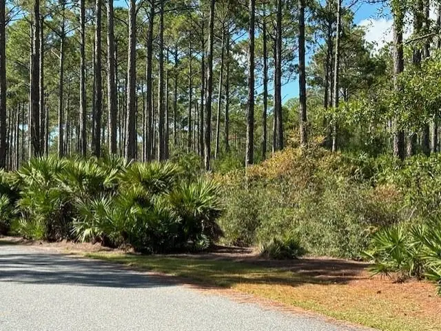 102 Fishhook Way, Saint Teresa, FL 32358 - Image #2