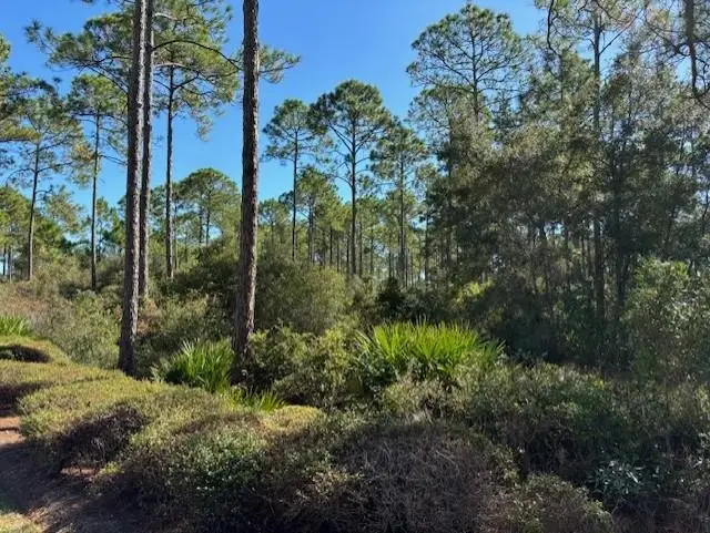 102 Fishhook Way, Saint Teresa, FL 32358 - Image #3