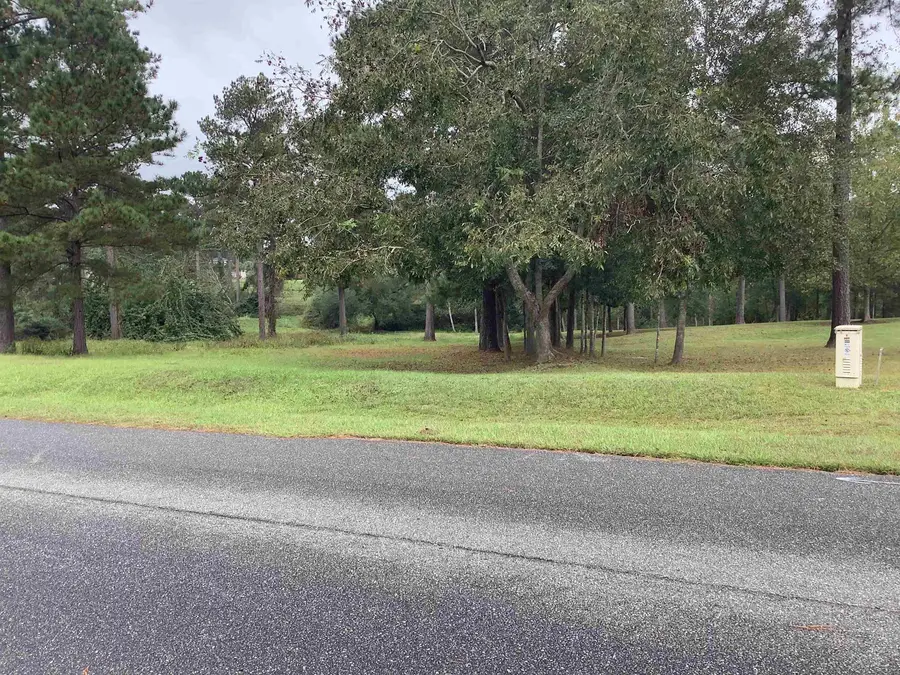 Lot 28 Twin Ponds Drive, Havana, FL 32333 - Image #2